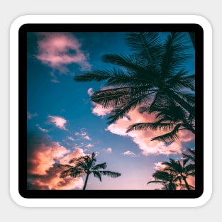 Green and brown coconut trees under clear blue sky Sticker